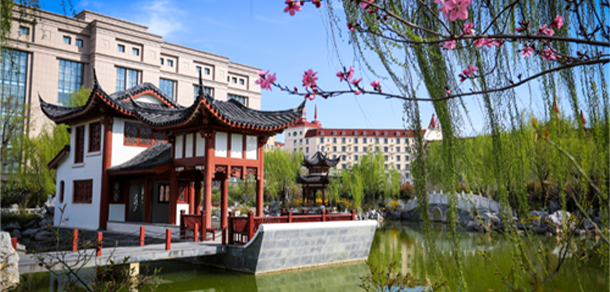 我的大學-大學志