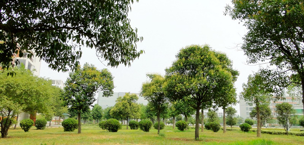 許昌職業(yè)技術學院
