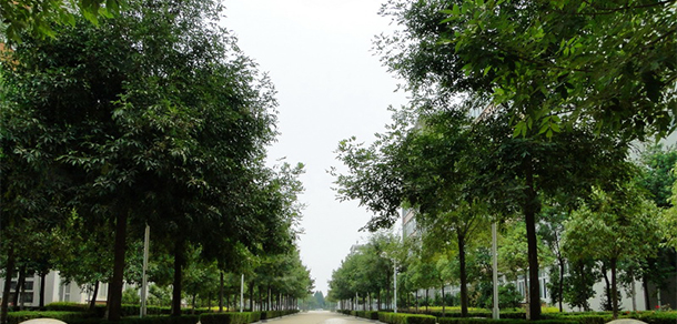 我的大學(xué)-大學(xué)志
