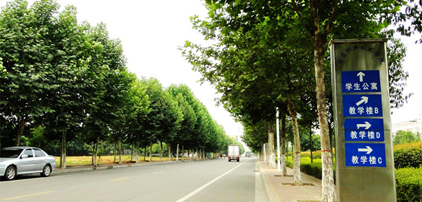 我的大學(xué)-大學(xué)志