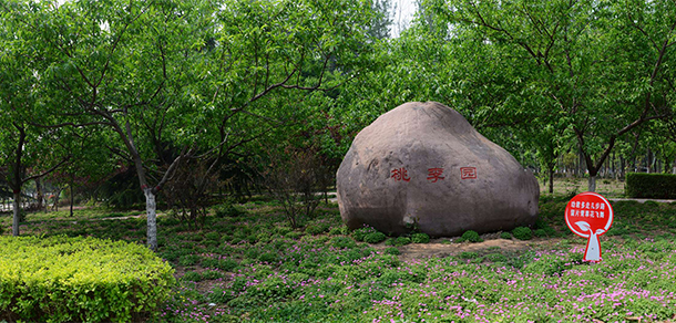 濟源職業(yè)技術(shù)學(xué)院 - 最美大學(xué)