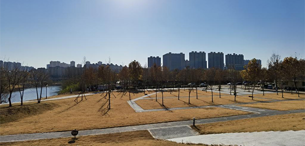 我的大學(xué)-大學(xué)志