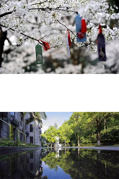 河南林業(yè)職業(yè)學院