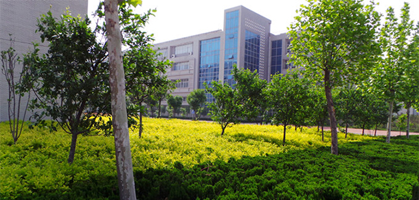 我的大學(xué)-大學(xué)志