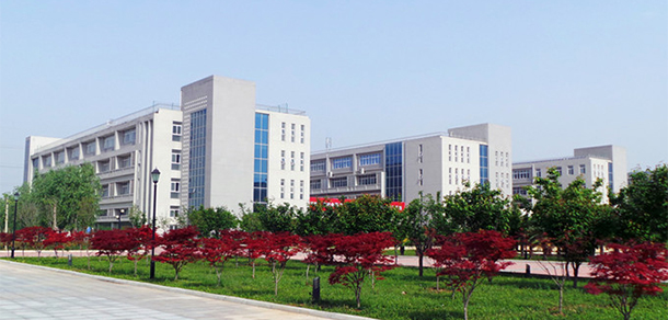 我的大學(xué)-大學(xué)志