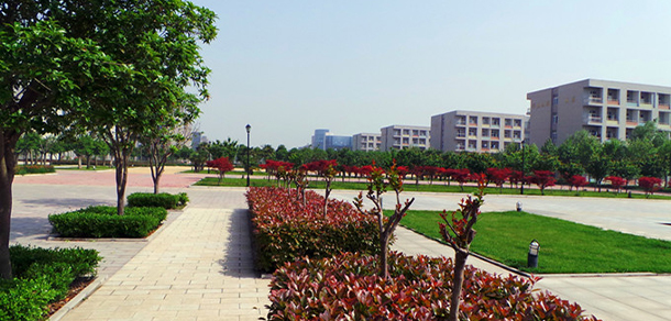 我的大學(xué)-大學(xué)志