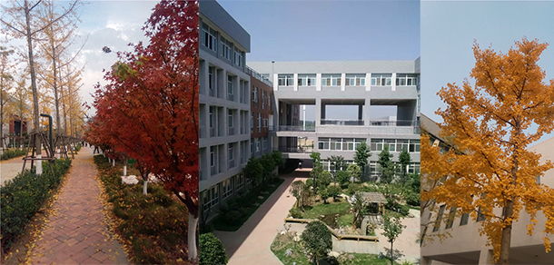 鄭州電力高等專科學(xué)校 - 最美大學(xué)
