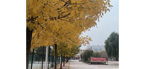 濮陽石油化工職業(yè)技術學院 - 最美大學