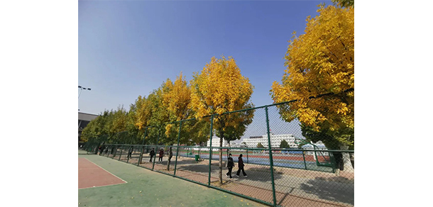 濮陽石油化工職業(yè)技術學院 - 最美大學