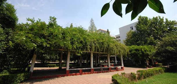平頂山職業(yè)技術(shù)學(xué)院 - 最美大學(xué)