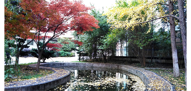 湖南財政經(jīng)濟(jì)學(xué)院 - 最美大學(xué)