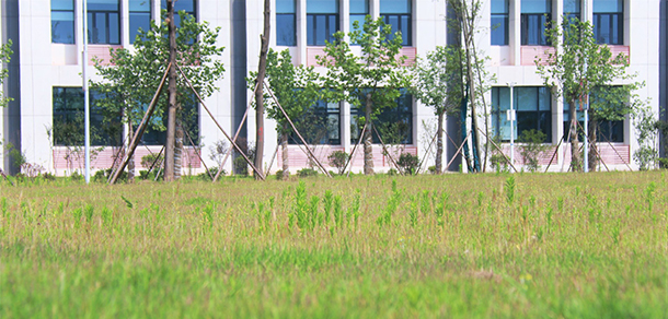 湘潭理工學院 - 最美大學