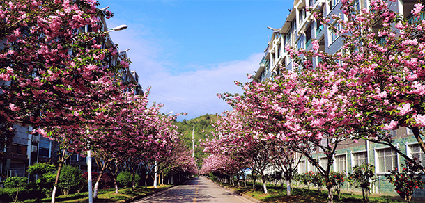 張家界學院 - 最美大學