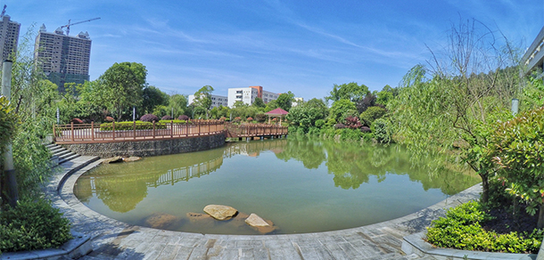 我的大學(xué)-大學(xué)志