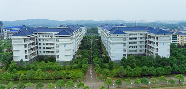 岳陽職業(yè)技術(shù)學院 - 最美大學