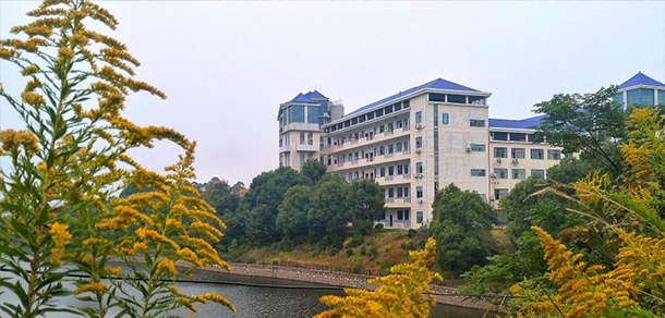 岳陽職業(yè)技術(shù)學院 - 最美大學