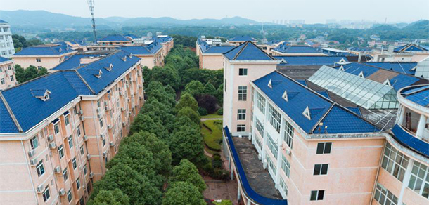 岳陽職業(yè)技術(shù)學院 - 最美大學