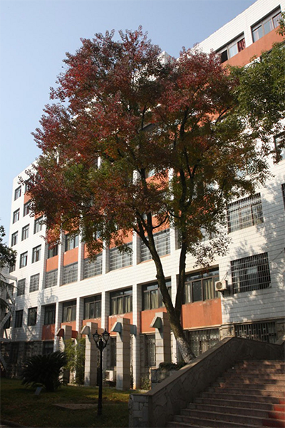 湖南城建職業(yè)技術學院