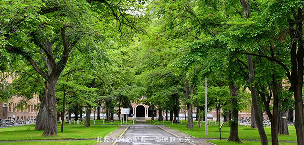 岳陽現代服務職業(yè)學院