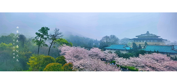 武漢大學(xué)