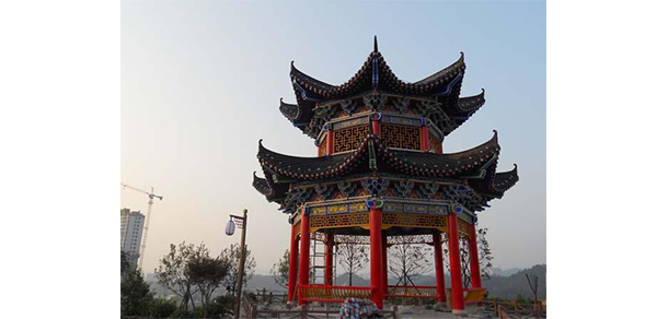 湖北醫(yī)藥學院