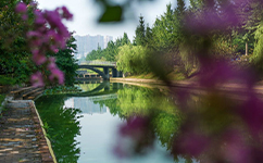 歷史沿革(概)校史