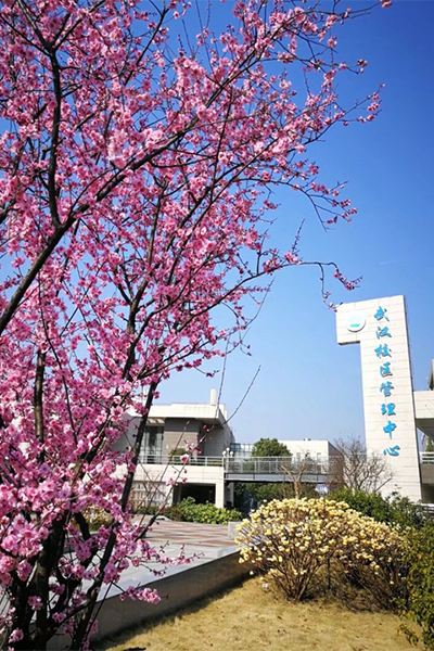 長江大學 - 流金歲月
