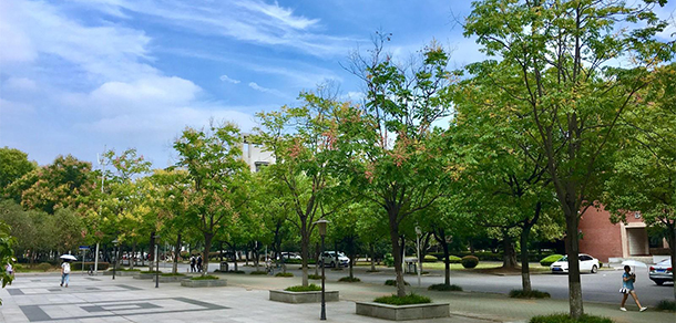 湖北工業(yè)大學工程技術(shù)學院 - 最美大學