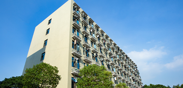 我的大學(xué)-大學(xué)志