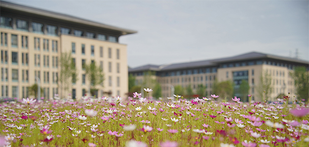 湖北恩施學院 - 最美大學