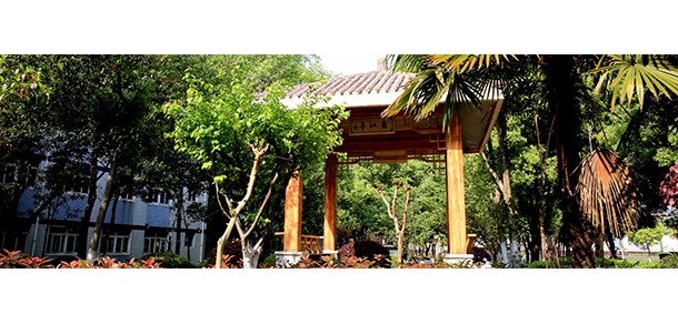 長江職業(yè)學院 - 最美大學