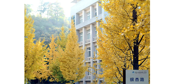 湖北工業(yè)職業(yè)技術學院 - 銀杏路