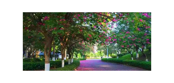 星海音樂學院 - 最美大學