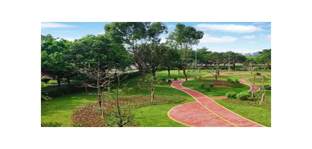星海音樂學院 - 最美大學