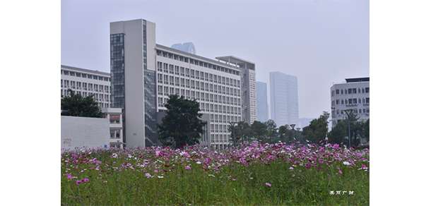 廣東財經大學 - 最美大學