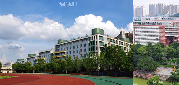 華南農(nóng)業(yè)大學(xué) - 最美院校