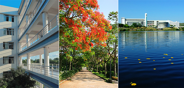 廣東海洋大學 - 最美大學