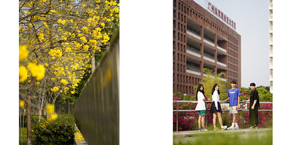廣東體育職業(yè)技術學院 - 最美大學