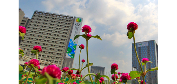 深圳信息職業(yè)技術(shù)學院 - 最美大學
