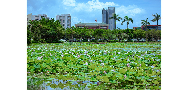 珠海城市職業(yè)技術(shù)學院 - 最美大學