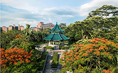 歷史沿革（概）校史