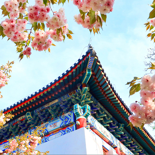 最美校園