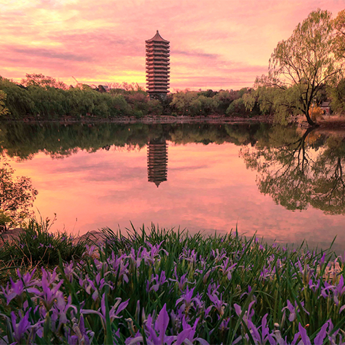 北京大學(xué)-流金歲月