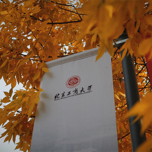 我的大學(xué)