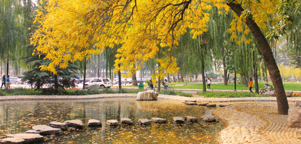 我的大學-大學志