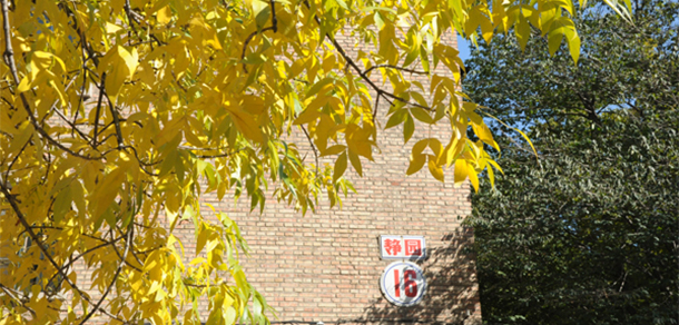 我的大學-大學志