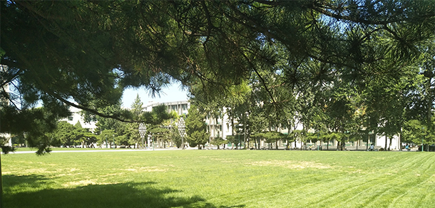 我的大學-大學志