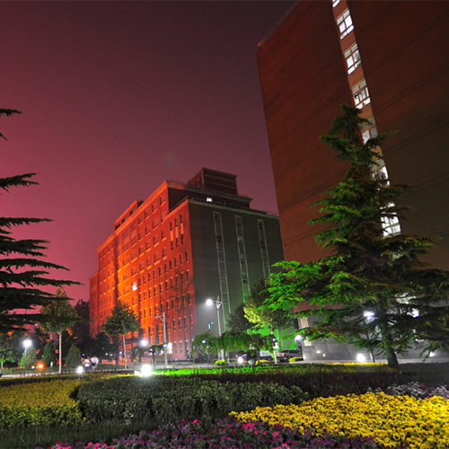 最美大學(xué)