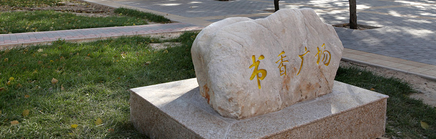 對外經(jīng)濟(jì)貿(mào)易大學(xué) 早安青春
