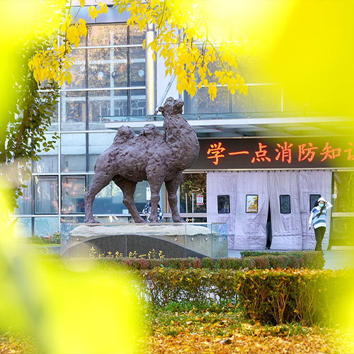 大學(xué)簡(jiǎn)介